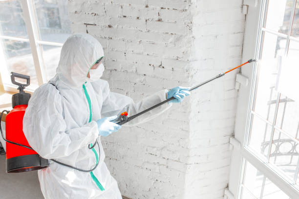 Mold Removal for HVAC Installations